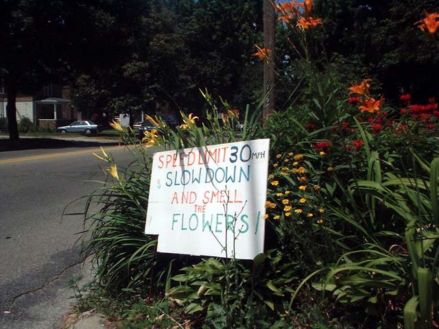 smelltheflowers