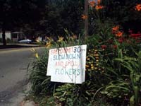smelltheflowers